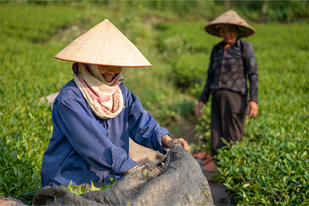 Dòng thời gian